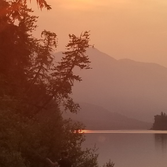 Meet your Posher, Lisa - Picture 1 of 1